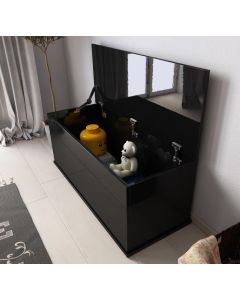 coffre_de_conteneur_ariel_noir