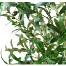planta-artificial-decorativa-olivo-145